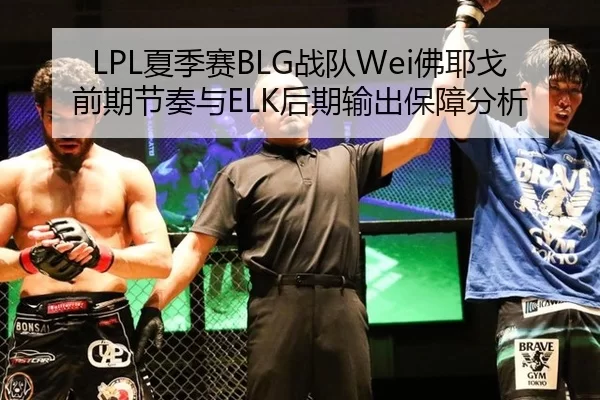 LPL夏季赛BLG战队Wei佛耶戈前期节奏与ELK后期输出保障分析