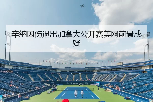 辛纳因伤退出加拿大公开赛美网前景成疑